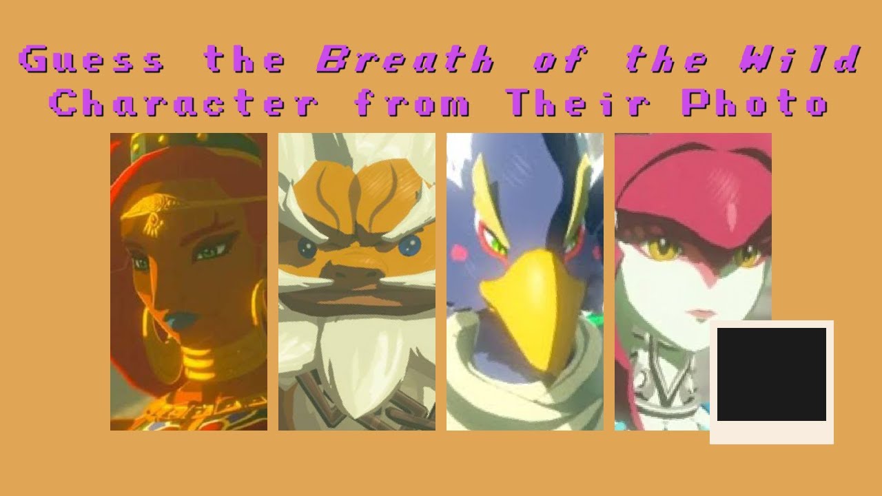 Guess the Breath of the Wild Character from Their Photo