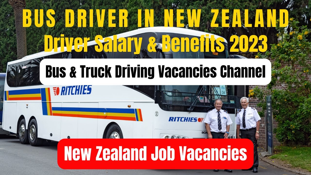 Bus Driver Jobs & Opportunities In New Zealand | Driving Job, Salary & offers 2023