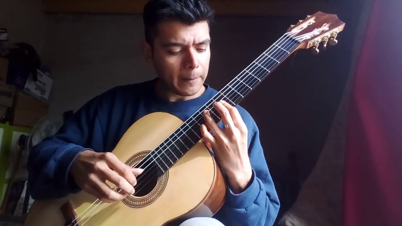 Te vas milonga y Ausencia(Fleury) Asociación Guitarristica Marplatense.