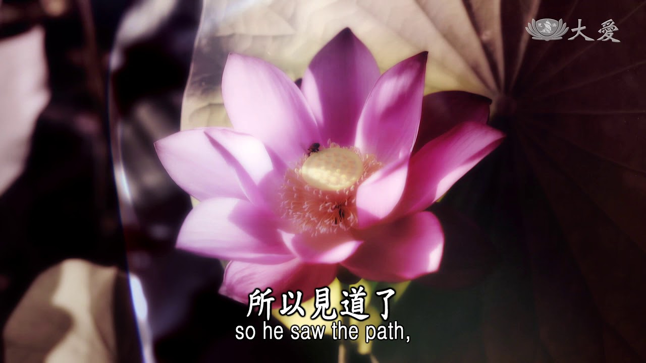 【證嚴法師菩提心要】20180908 - 悉當成佛 -《法華經》授記品導讀