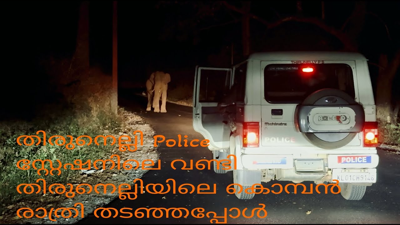 രാത്രി ആന വണ്ടി തടഞ്ഞാൽ എന്ത് സംഭവിക്കും അതും പോലീസ് വണ്ടി !! തിരുനെല്ലി രാത്രി യാത്രയിൽ സംഭവിച്ചത്
