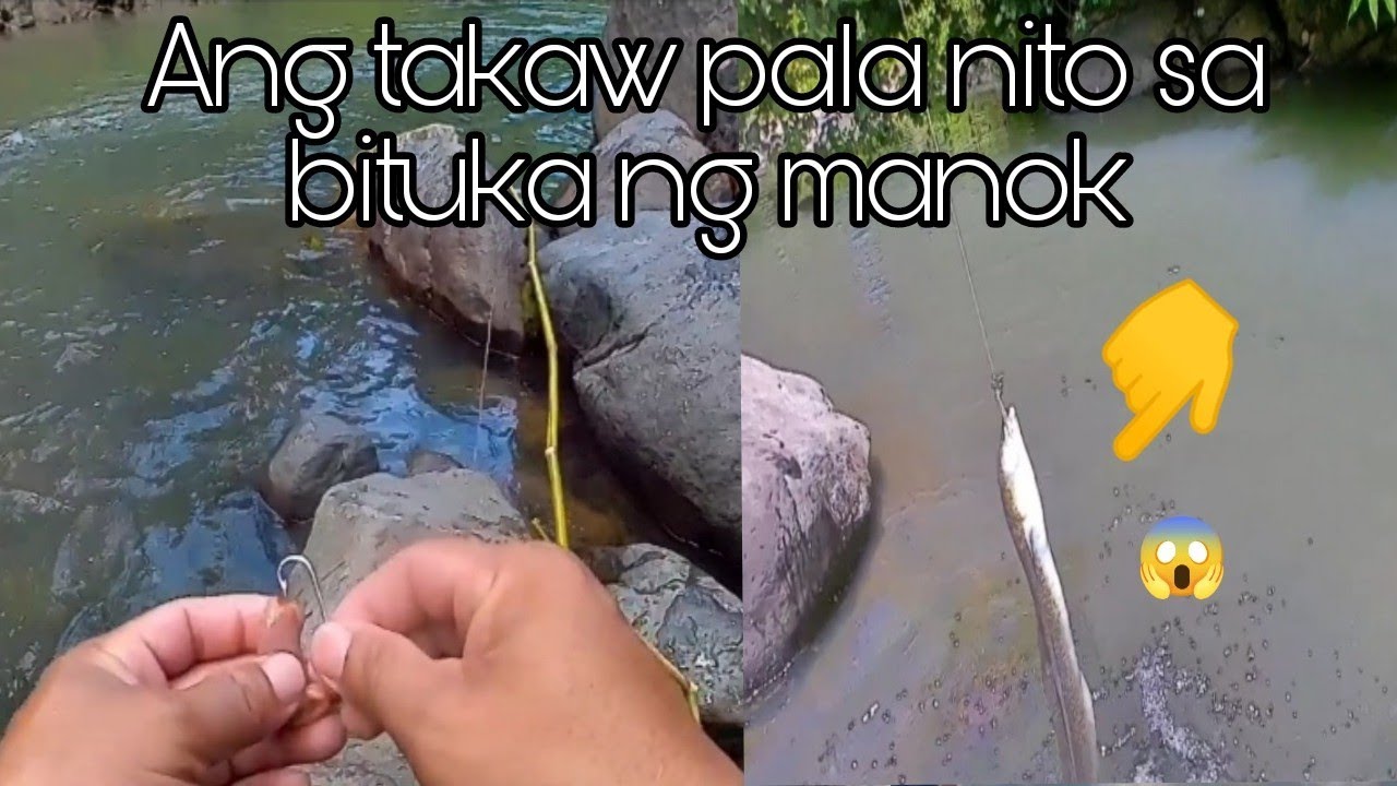 Panghuhuli ng palos/dalag sa ilog