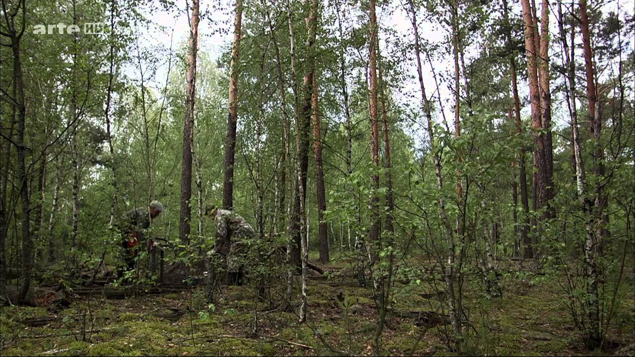 [Doku] Tschernobyl - Die Natur kehrt zur&uuml;ck [HD]