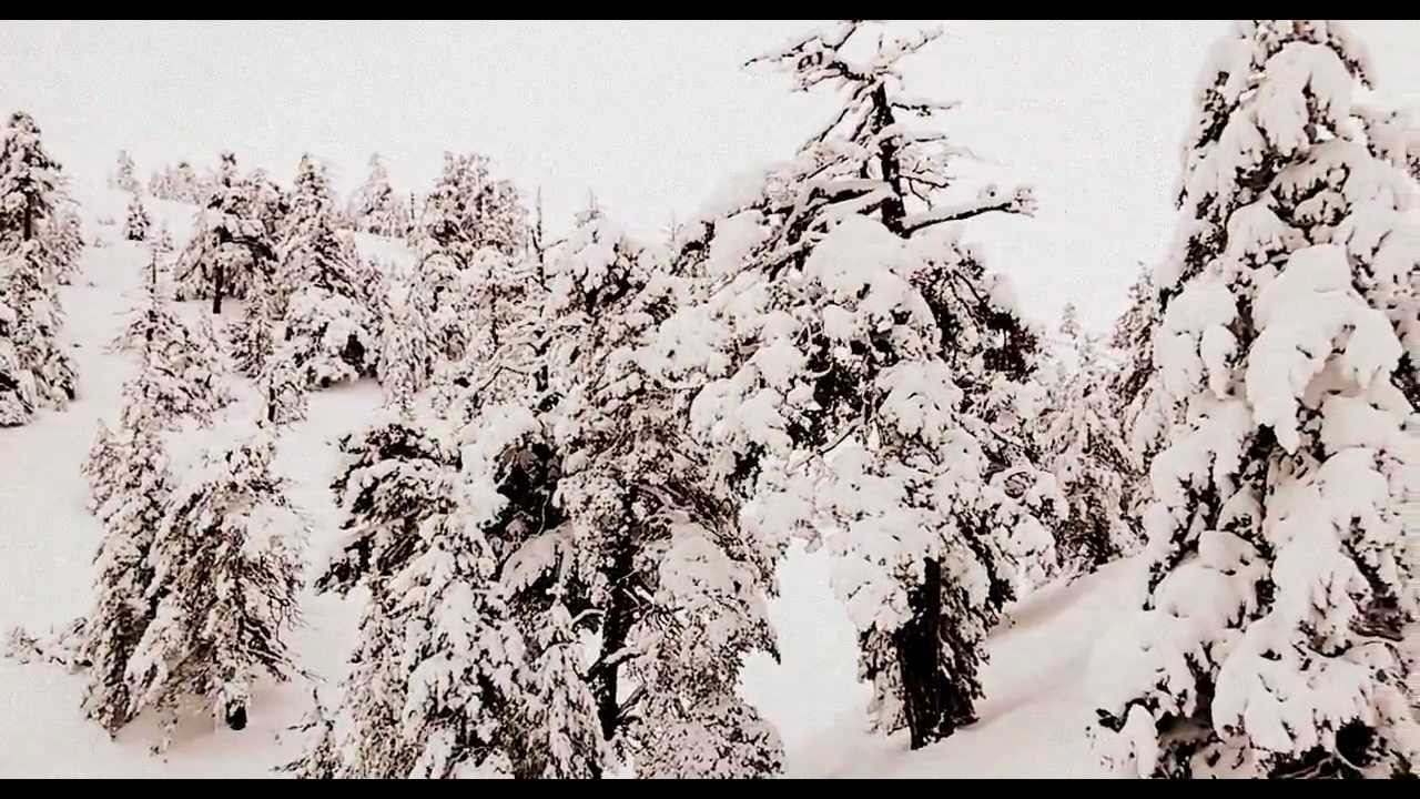 Kartalkaya www.skiciyiz.biz/albinonegroo