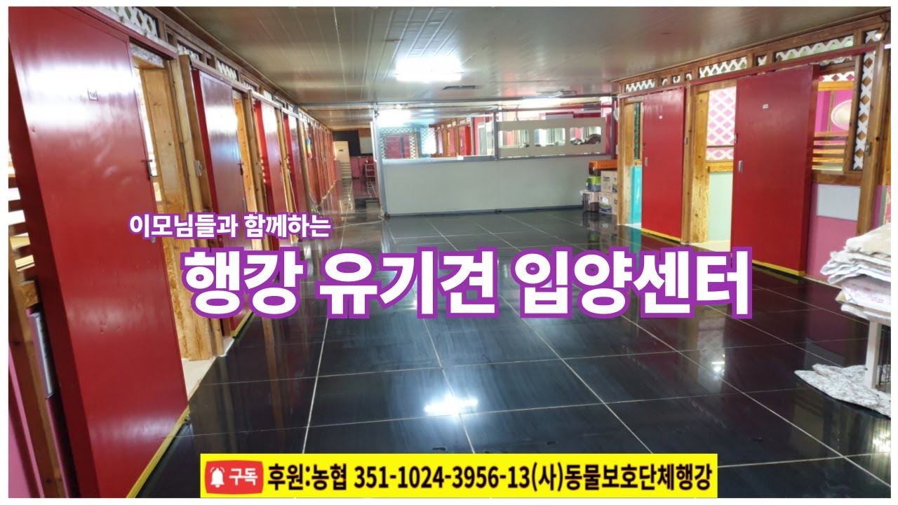 행강 유기견입양센터에서는? #유기견보호소 #유기견입양센터 #사지말고입양하세요 #강아지 #반려견