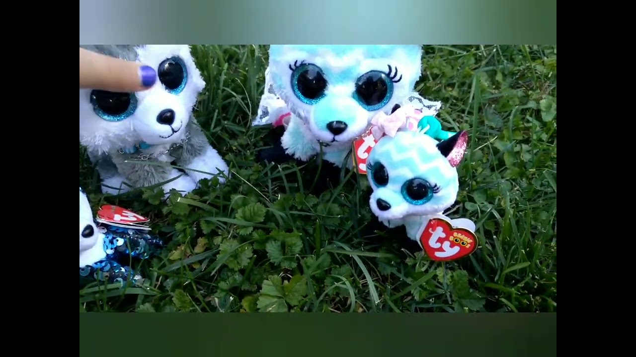 THE CARNIVAL!!! - Beanie Boo Funny Skit! BBM