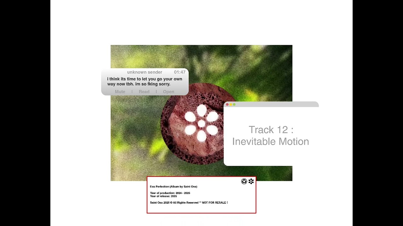 Saint Ona - Inevitable Motion