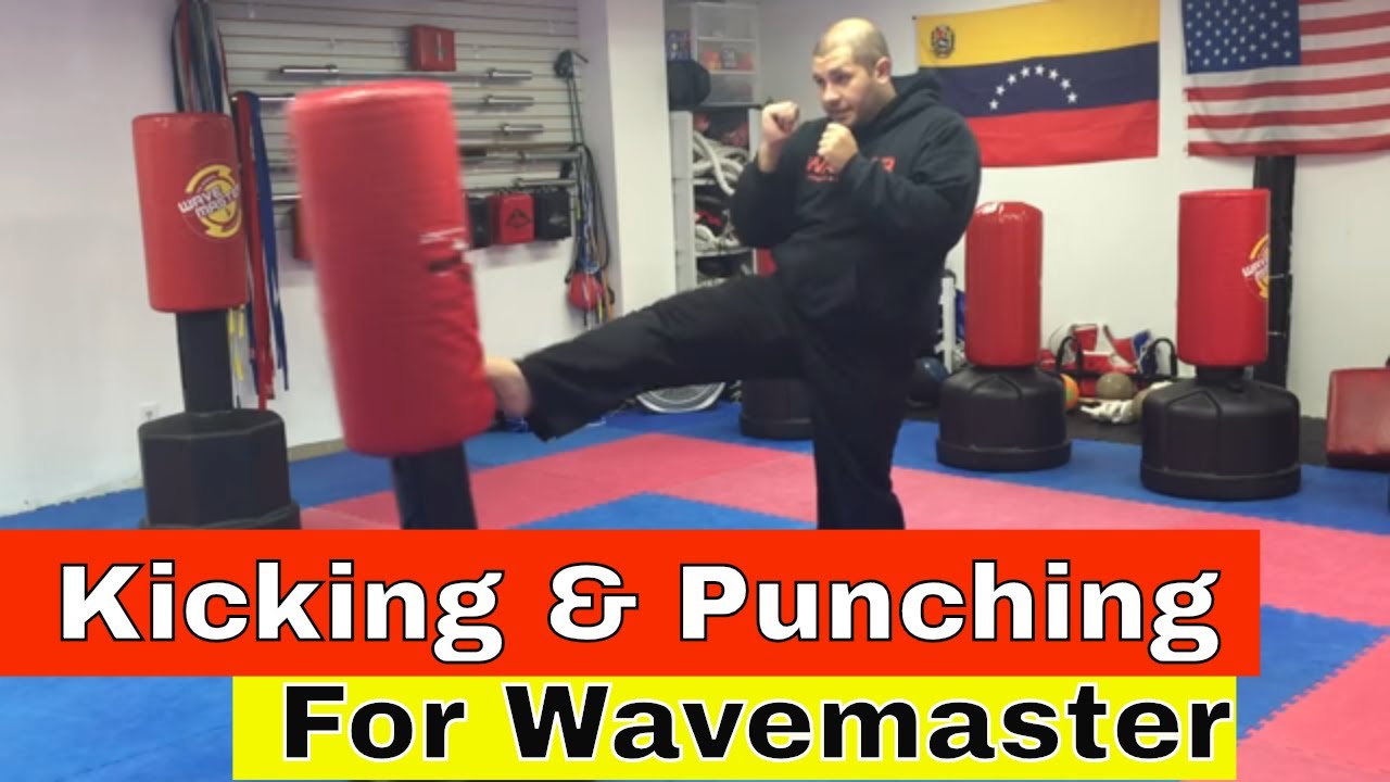 Kicking and Punching Drills for Wavemaster Freestanding Punching bag