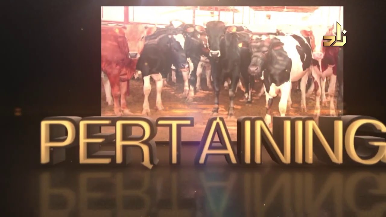 Can we give Udhiya or Qurbani meat to non muslims as a gift or charity? - Assim al hakeem