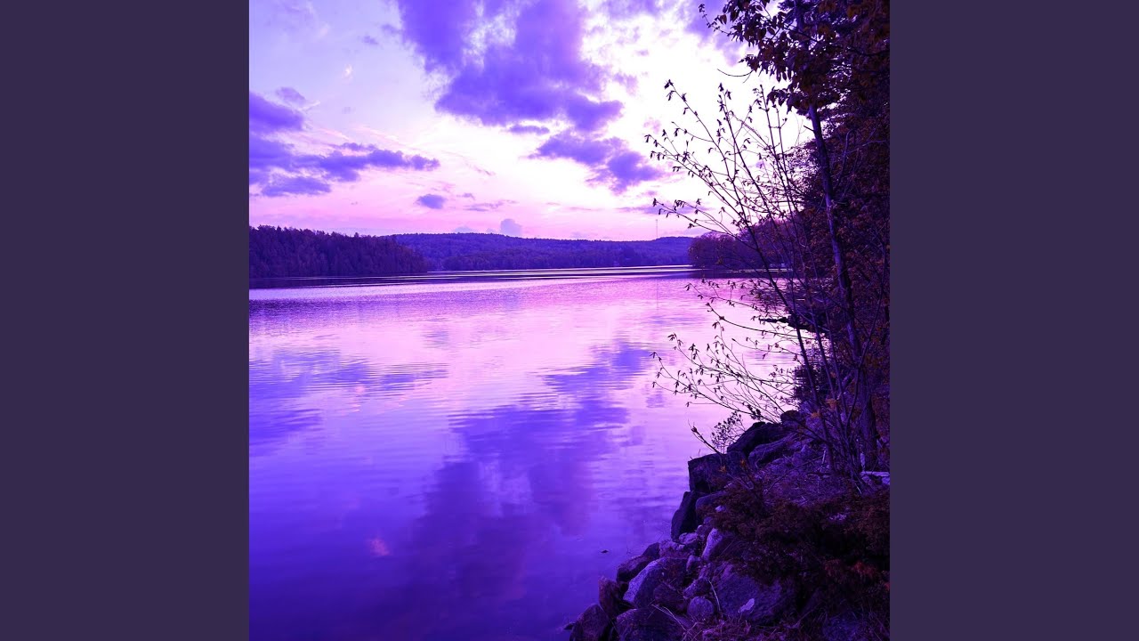 Oasis