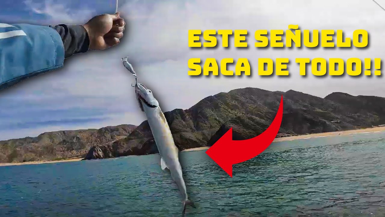 Punta final, san luis gonzaga!! El señuelo multi-especie!!👌🎣