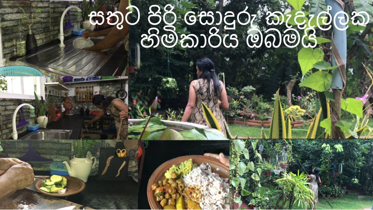 සතුටින් පිරි කැදැල්ලක  හිමිකාරියක්ද ඔබත්🏠💁🏻‍♀️