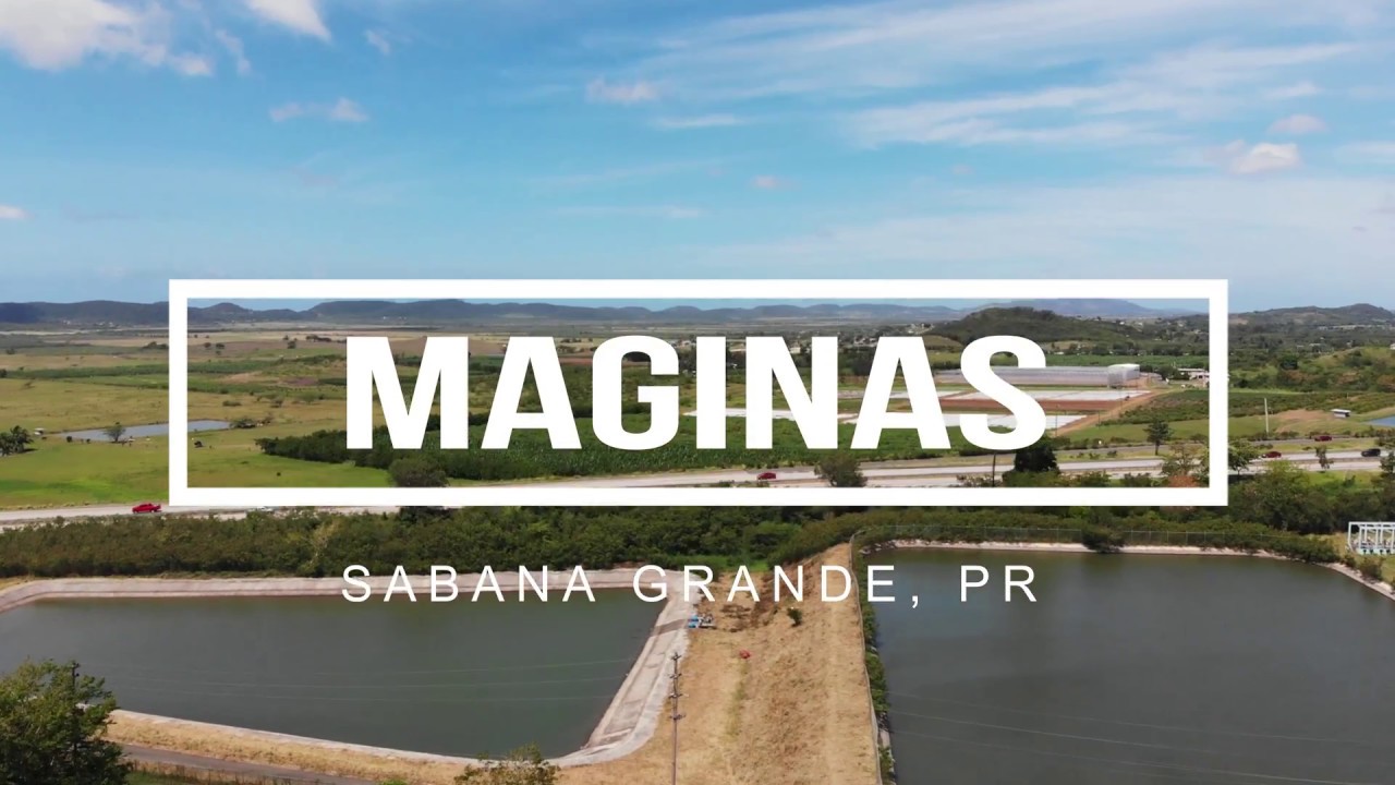 Comunidad Maginas de Sabana Grande, PR en 4K