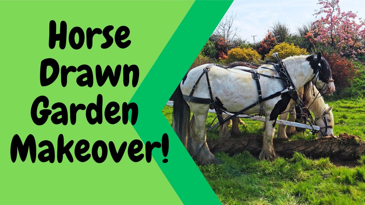 Jam jungle! Garden makeover with working horses!