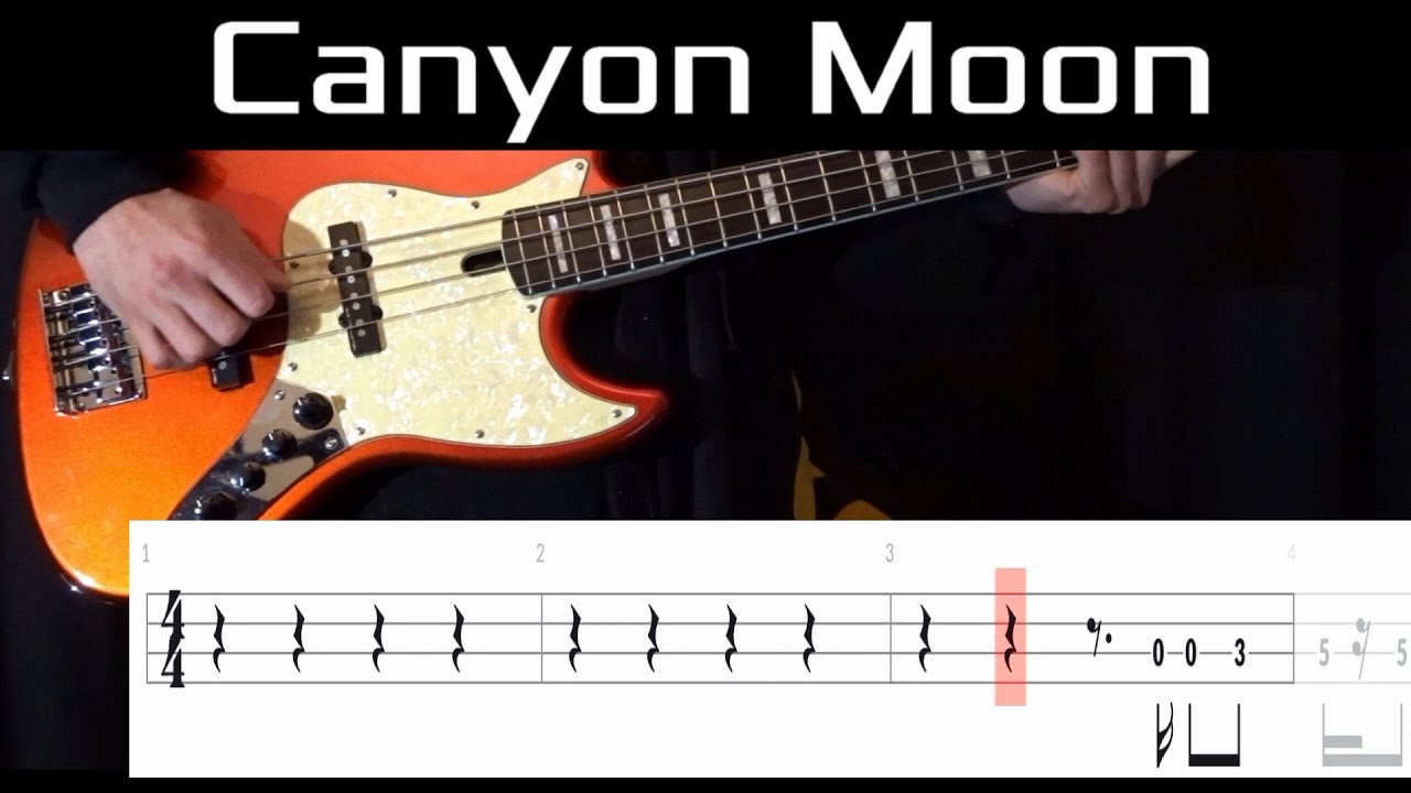 Canyon Moon (Harry Styles) - Bass Cover WITH TABS