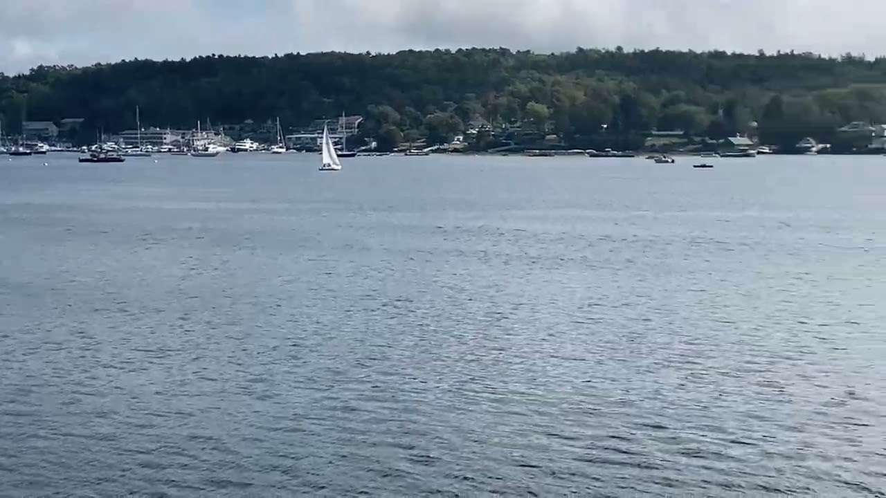 Coastal Maine Icon: Boothbay Harbour and Our Lady Queen of Peace! Shorts