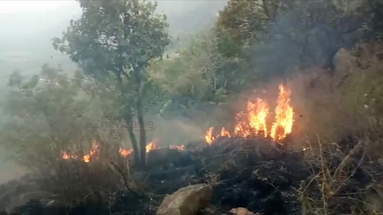 Tamil Nadu: Five trekkers dead, 30 rescued in massive forest fire