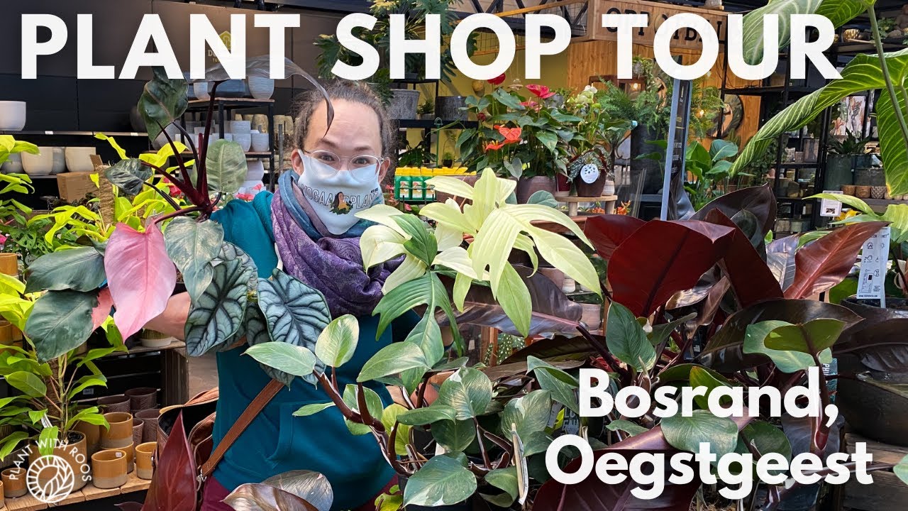 Plant Shop Tour Bosrand Oegstgeest | Plant with Roos
