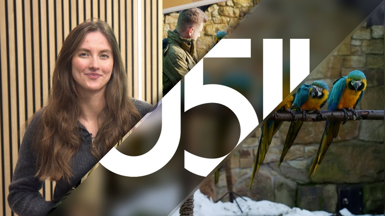 130 Jahre Hannover 96 und Inventur im Zoo Hannover - 0511 vom 23.01.2026