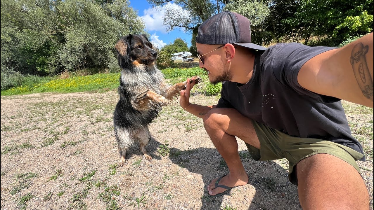 Vanlife With Me (& My Dog): Down By The River 🇫🇷