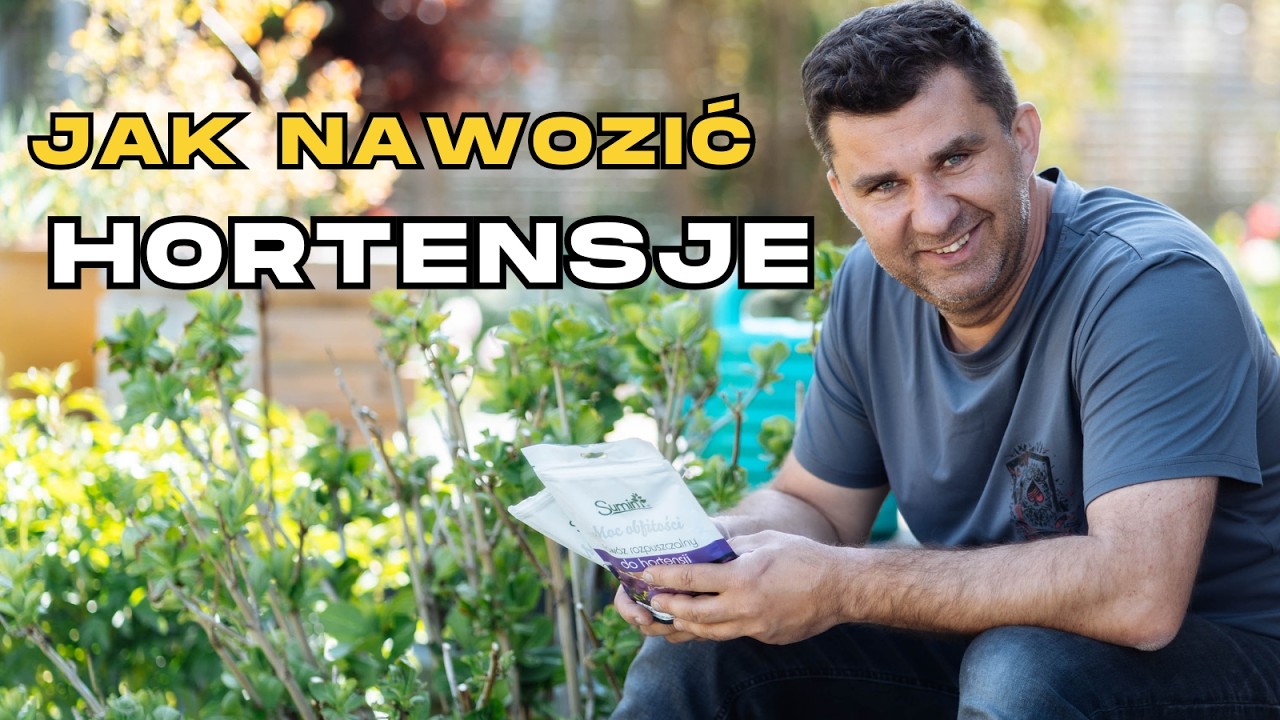 Jak nawozić ogr&oacute;d w maju? Sekret pięknych hortensji i r&oacute;ż!