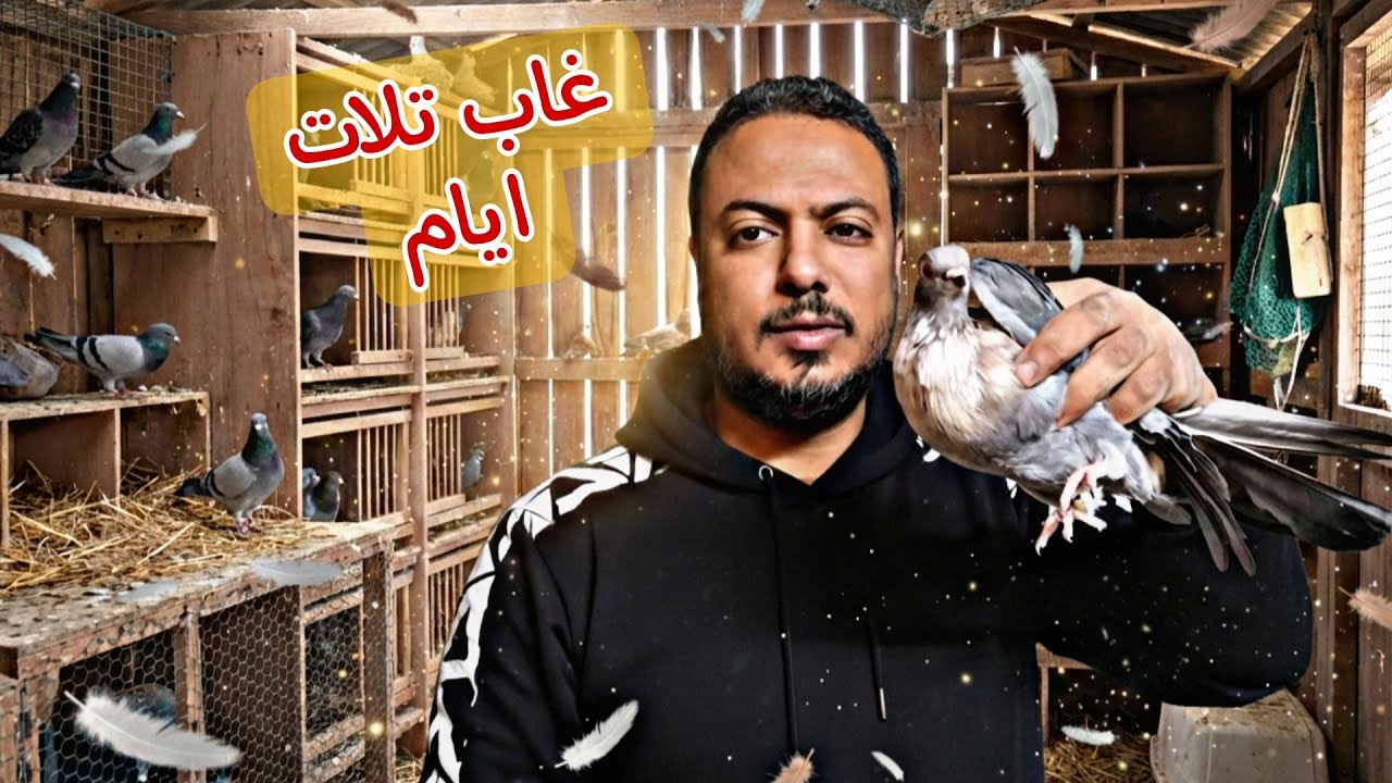 حمام فك حصي💥وحمام جه الشغل معايا😱😂 والازرق قطيفه رجع 🥰🥰 