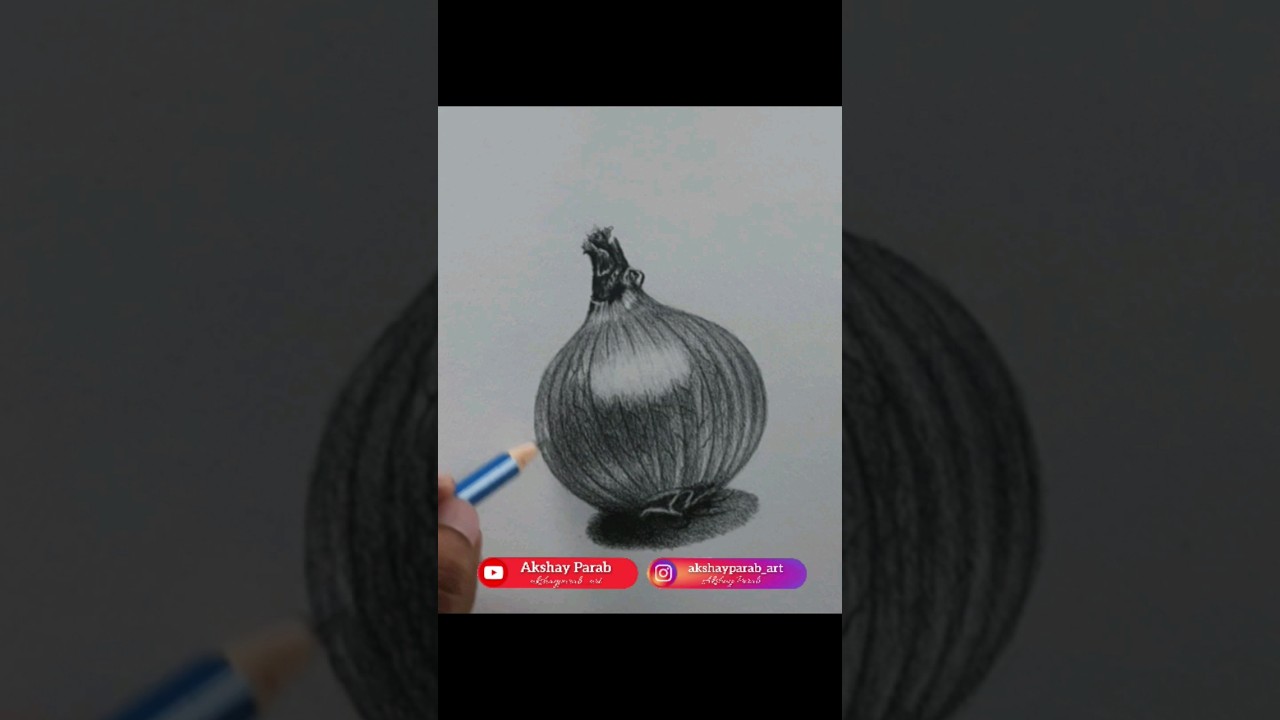 How to draw an Onion | Onion Sketch