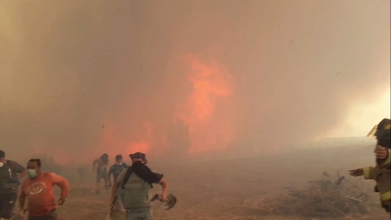 INCENDIO CHILE, 2 DE FEBRERO 2024. El Mirador de Quilpue