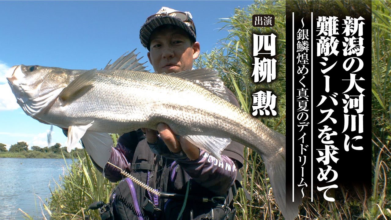 #585 新潟の大河川に難敵シーバスを求めて～銀鱗煌めく真夏のデイドリーム～