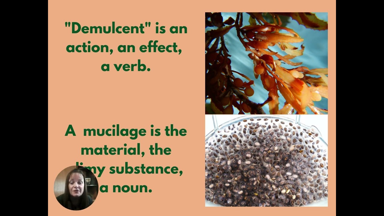 ACTIONS OF HERBS   Demucents