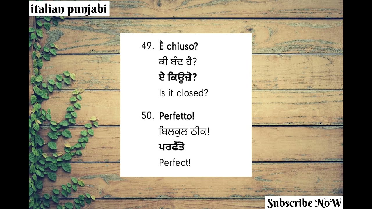 ITALY🇮🇹 ਹਰ ਰੋਜ ਕੰਮ ਆਉਣਗੇ ਇਹ ਸ਼ਬਦ#languagelearning #learnitalian #italianpunjabi600 #study #education
