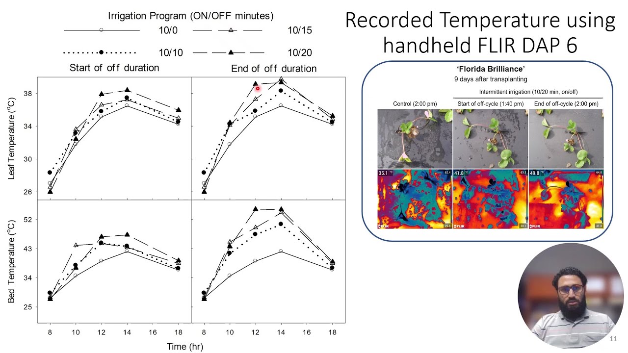 Water Conservation in Strawberry Establishment with Intermittent Sprinkler | 2023 ASHS Presentation