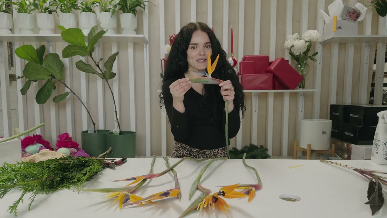 Tropical Elegance: Birds of Paradise, Trop Tops & Cypress | Flower Club Tutorial