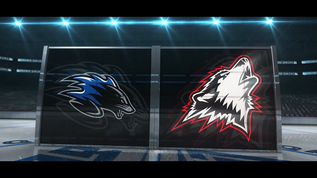 354 Saint John Sea Dogs 4 Rouyn-Noranda Huskies 3 - 14-01-2026