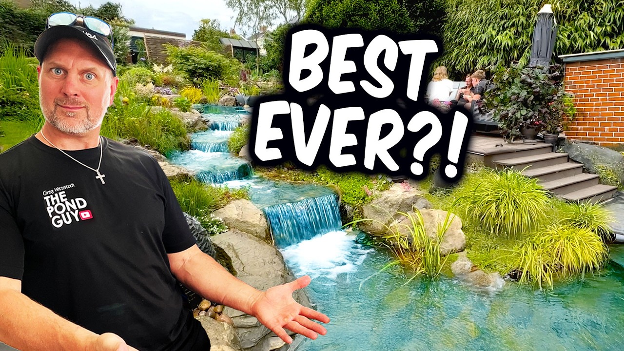 BEST Entrance to Backyard Pond