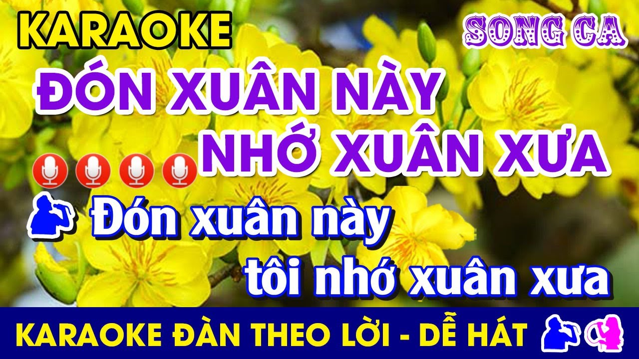 Karaoke l Đ&Oacute;N XU&Acirc;N N&Agrave;Y NHỚ XU&Acirc;N XƯA - Tone SONG CA l #donxuannaynhoxuanxua #chauky @dung.karaoke