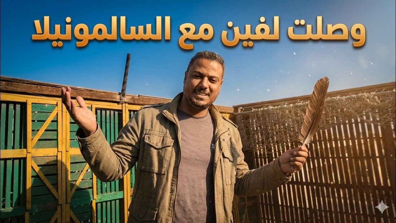 تعالى اقولك وصلت لفين مع السالمونيلا🤦🏻ورحت شوفت سلاكه روعه💥🥰#pigeon 