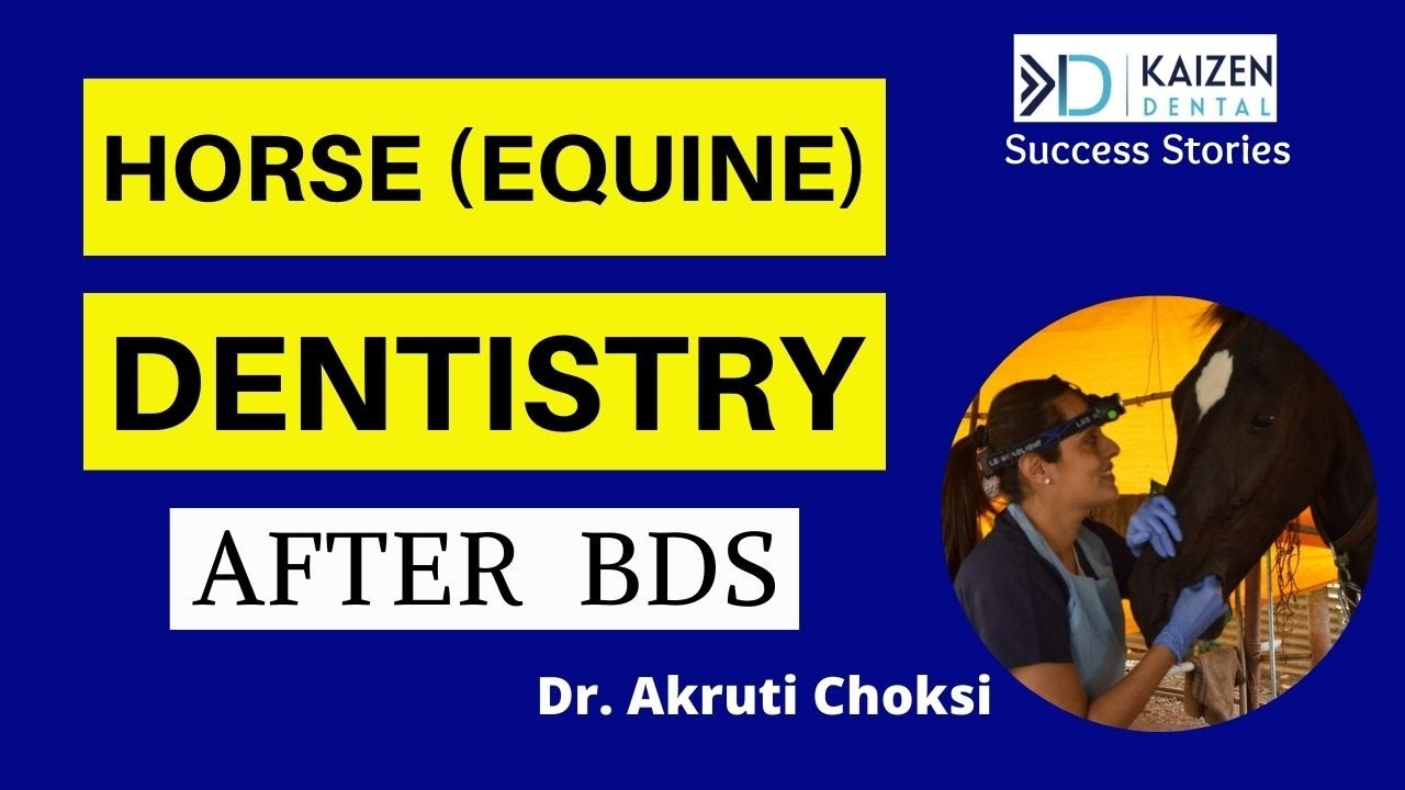 Horse (Equine) Dentistry After BDS | Kaizen Dental Podcast with Dr Akruti Choksi