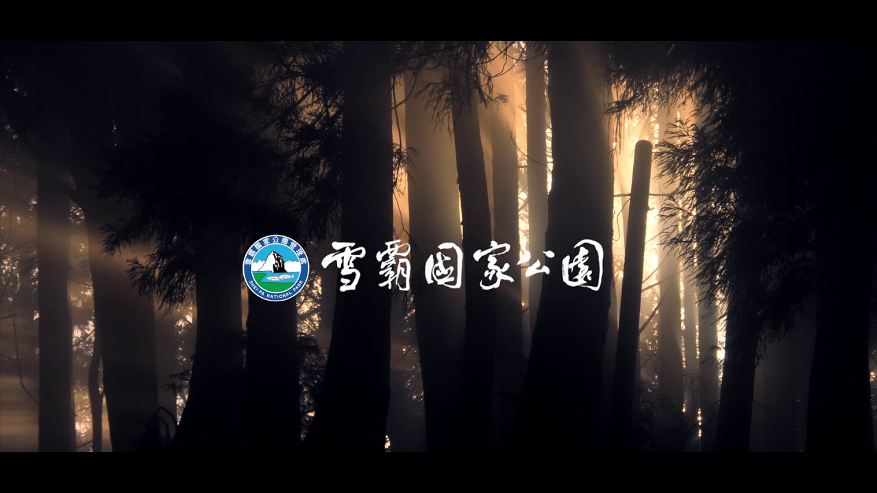 聖稜樹冠 3分鐘版
