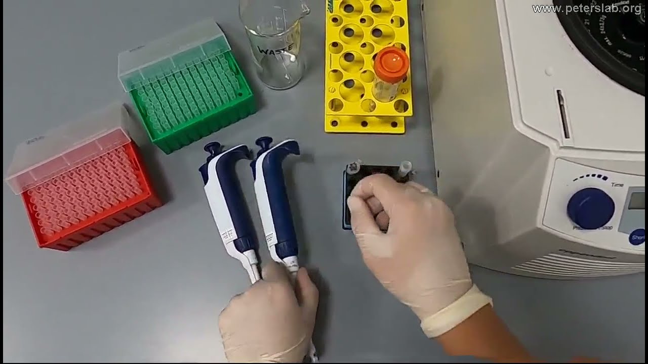 Desalting protein under native conditions using spin columns