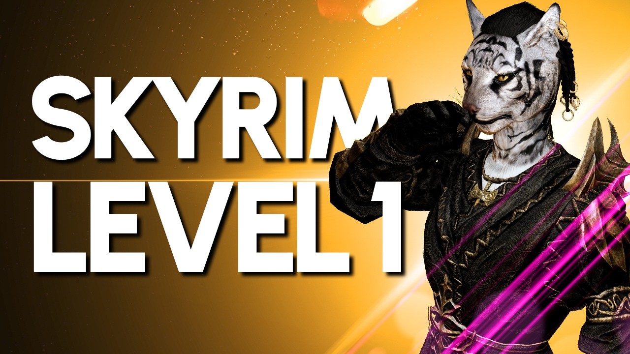 Skyrim, but I Can't Gain Experience