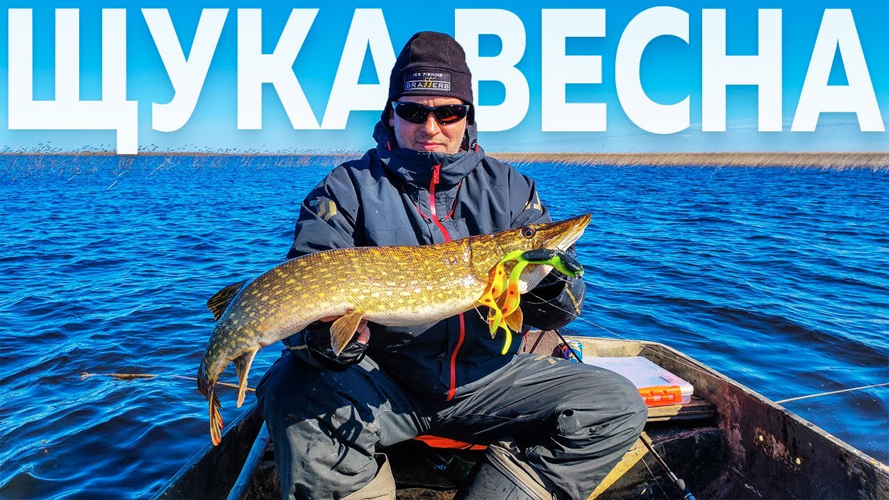 Много щуки на крупный силикон. Весенняя ловля щуки на Ладоге.