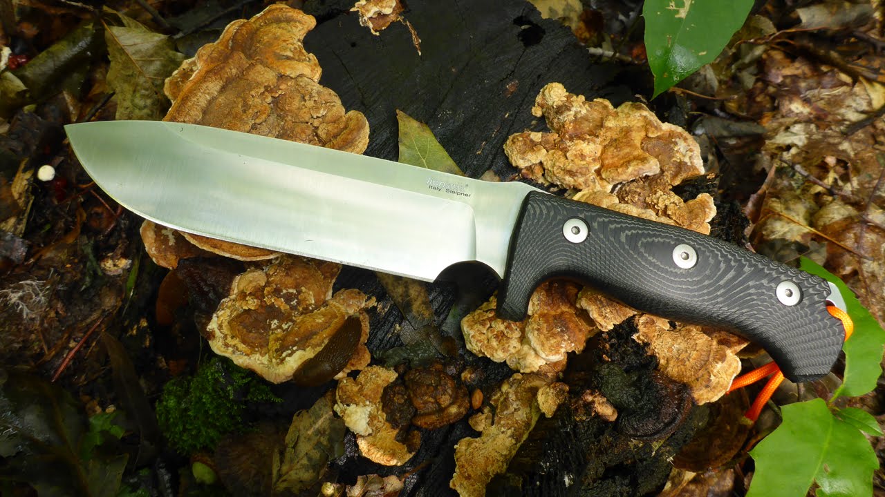 LionSteel M7 Knife Field Test and Review