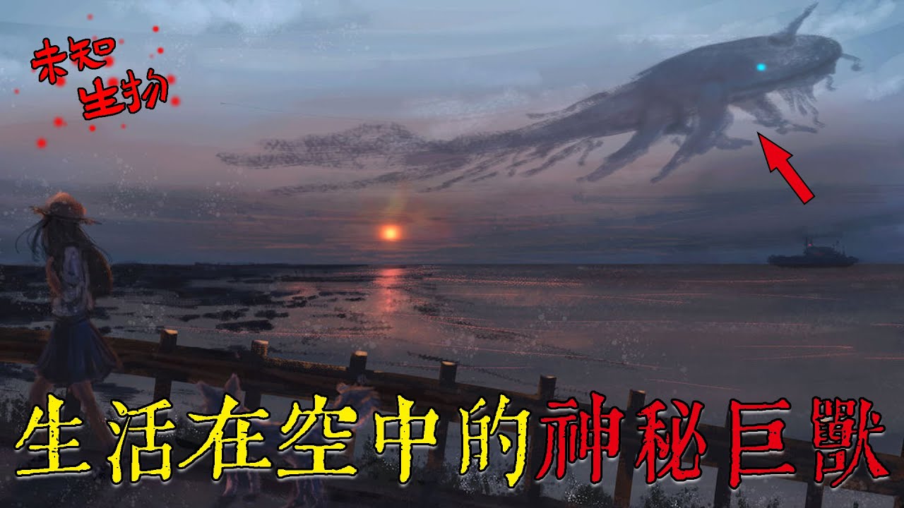天空中竟生活著半透明的巨型神秘生物？大氣層巨獸是未解之謎 | 未知生物【几出说】