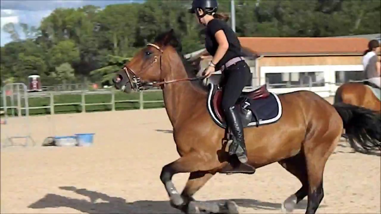 Jeudi 27 juillet - Cours galop 4/5/6 - Ligne d'obstacles