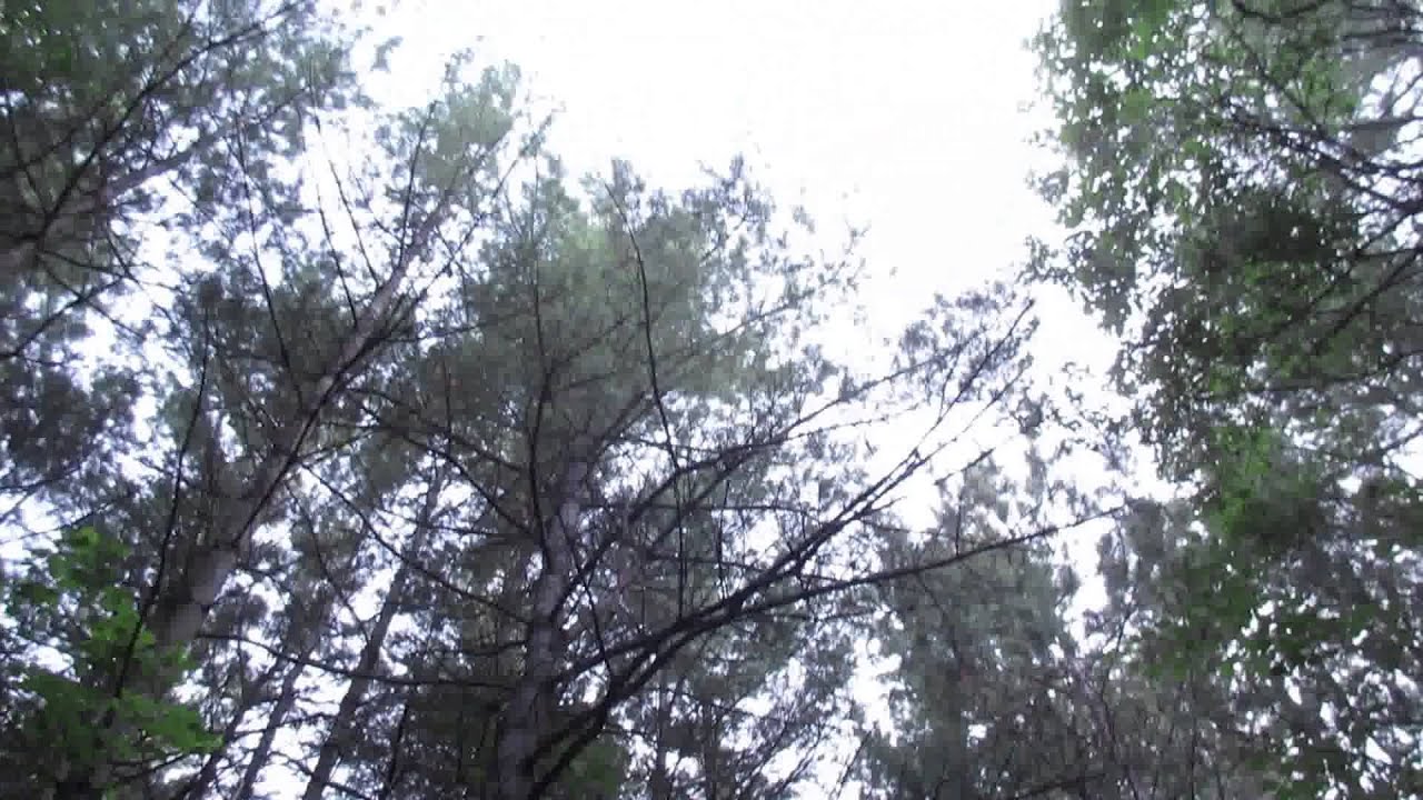 Awenda Provincial Park