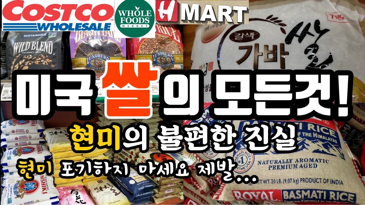 50만뷰! 미국에서 쌀고를때 이것만 꼭 숙지하세요|코스트코 한인마트 홀푸드 쌀 종류 분석 | 쌀에 1급 발암물질 비소 줄이는 법| 현미의 불편한 진실| Arsenic in Rice
