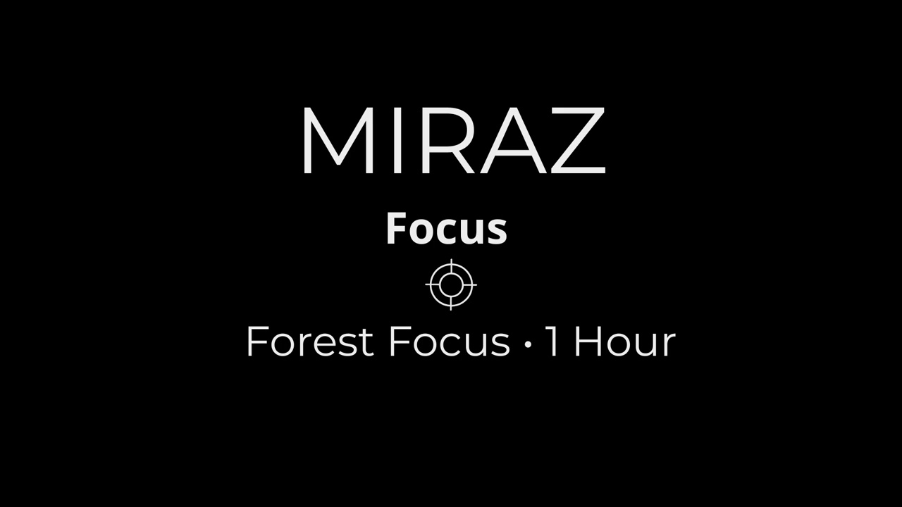Deep Focus in the Forest • Perfect for Studying