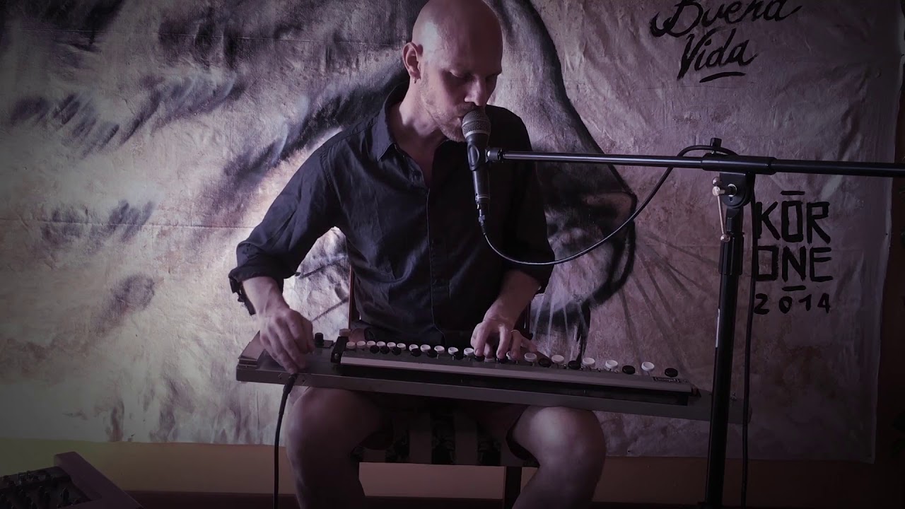 Flutterby - Pete List - shahi baaja and beatbox looping