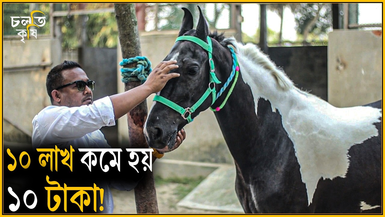 শখের তোলা ১৫ লাখ! | চলতি কৃষি